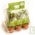 Mini serre Aromates de culture bio, plastique recycl� + terre et graines, 20 cm